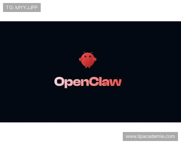 新手必看9游官网注册教程，详细步骤带你轻松完成账号创建与激活
